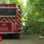 Canada storms: Nearly a million homes lose power in high winds