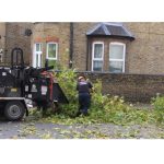 Tree Surgeons Dartford