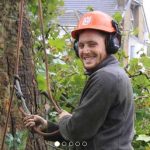 Tree Surgeons Dagenham