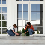 Can New Windows Increase Your Property Value? Find Out How!