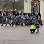 Touching moment police bring young boy out of Buckingham Palace crowd to watch Changing of the Guard