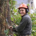 Tree Surgeons South London